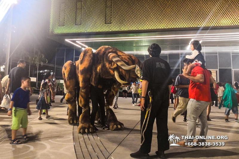 Pattaya's Hybrid show Kaan, evening shows in Thailand - photo 69