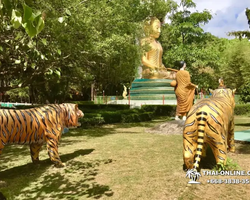 Guided tour Stalker from Pattaya to Chantaburi - photo 334