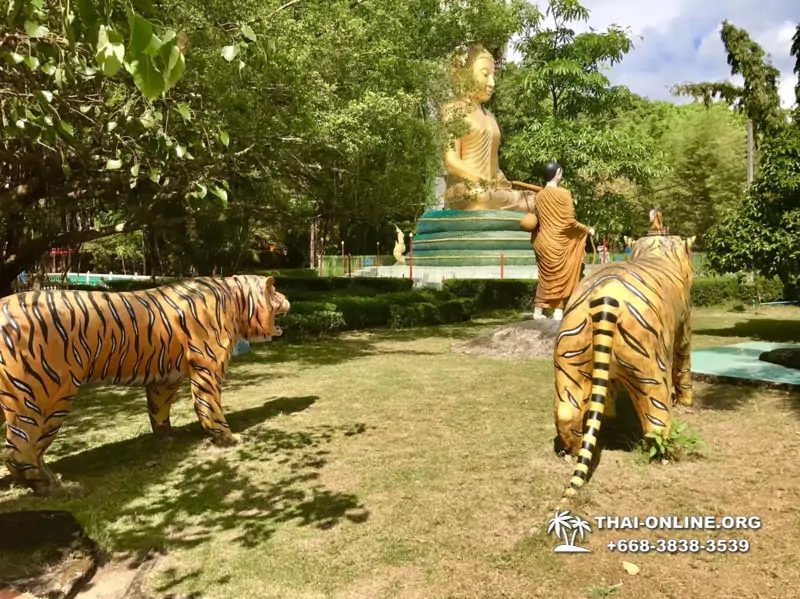 Guided tour Stalker from Pattaya to Chantaburi - photo 266