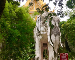 Kwai, Bangkok and Wat Samphran excursion Pattaya Thailand - photo 54