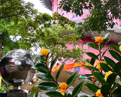 Kwai, Bangkok and Wat Samphran excursion Pattaya Thailand photo - 45