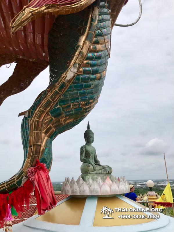 Kwai, Bangkok and Wat Samphran excursion Pattaya Thailand - photo 151