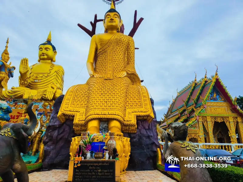 Amazing Thailand excursion from Pattaya to Nakhon Nayok - photo 207