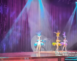 Alcazar Cabaret-show Pattaya, travesty shows of Thailand - photo 40