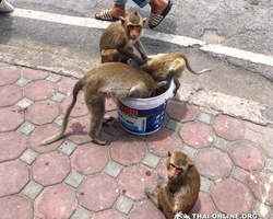 Excursion Power of Life from Pattaya to Central Thailand provinces 93