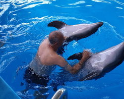 Pattaya Dolphinarium swimming with dolphins in Thailand - photo 12