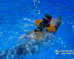 Pattaya Dolphinarium swimming with dolphins in Thailand - photo 103