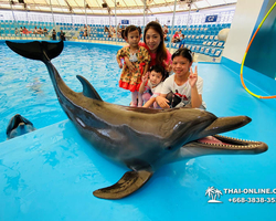 Pattaya Dolphinarium swimming with dolphins in Thailand - photo 23