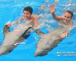 Pattaya Dolphinarium swimming with dolphins in Thailand - photo 47