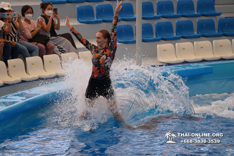Pattaya Dolphinarium swimming with dolphins in Thailand - photo 109