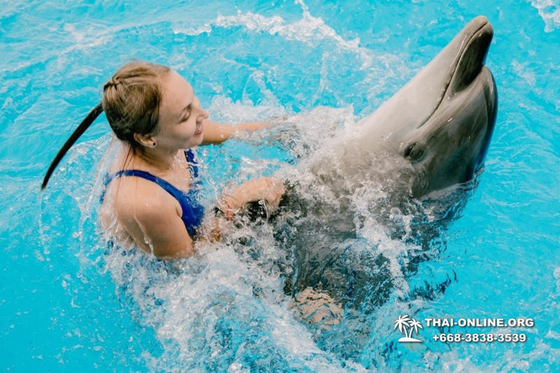 Pattaya Dolphinarium swimming with dolphins in Thailand - photo 67