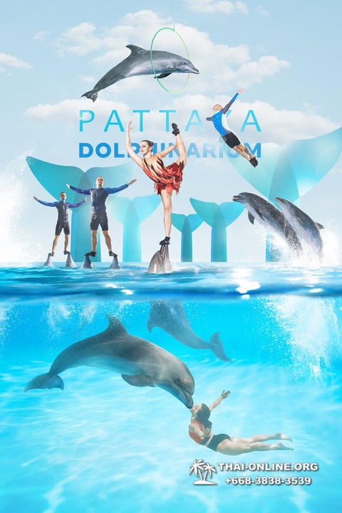 Pattaya Dolphinarium swimming with dolphins in Thailand - photo 66