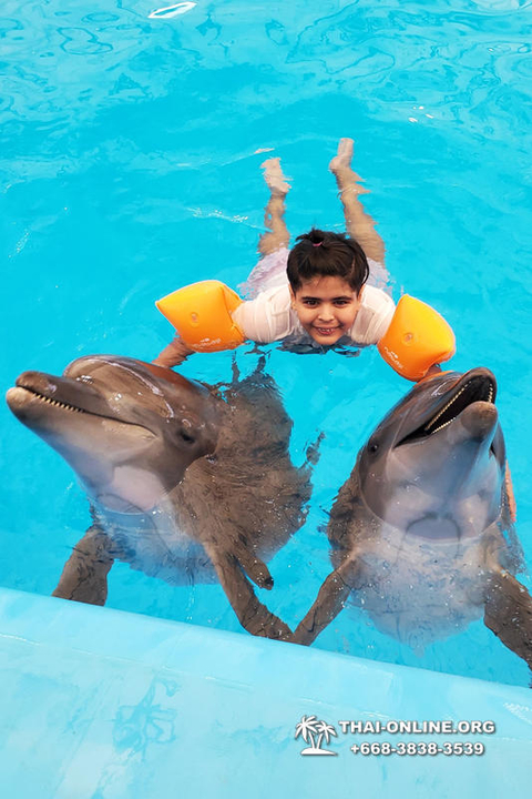 Pattaya Dolphinarium swimming with dolphins in Thailand - photo 36