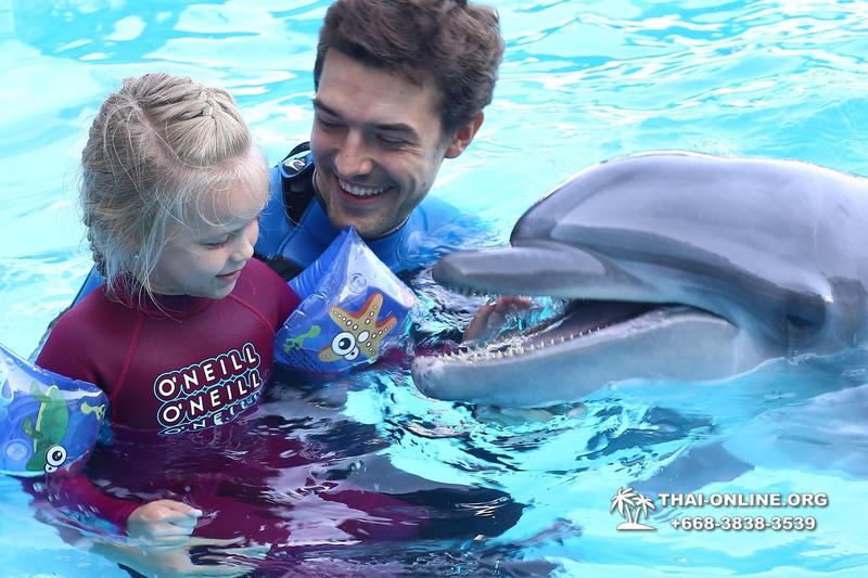 Pattaya Dolphinarium swimming with dolphins in Thailand - photo 71