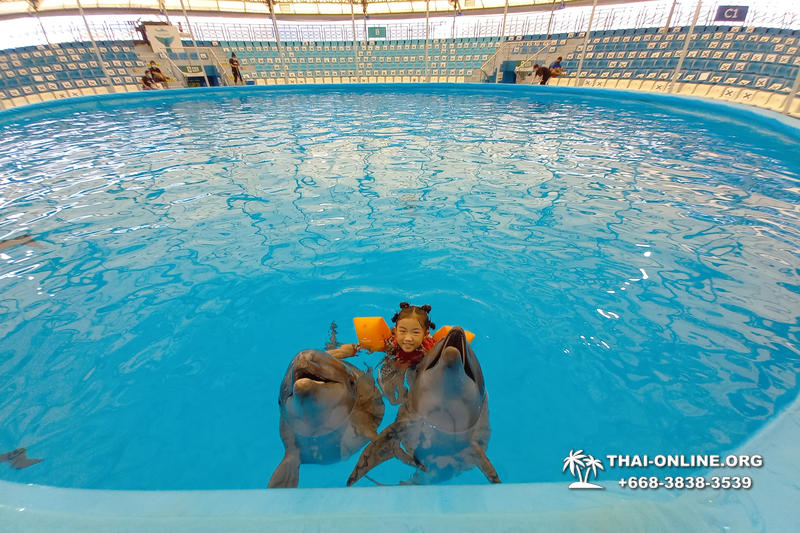 Pattaya Dolphinarium swimming with dolphins in Thailand - photo 25