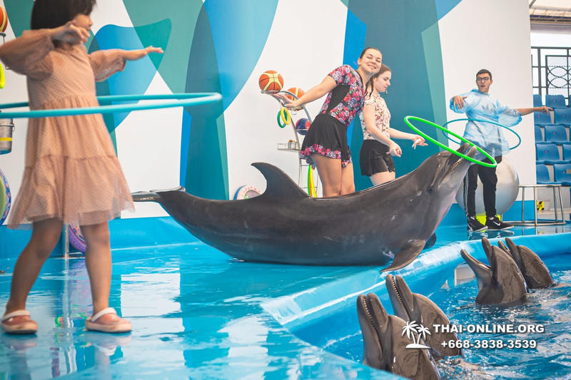 Pattaya Dolphinarium swimming with dolphins in Thailand - photo 81