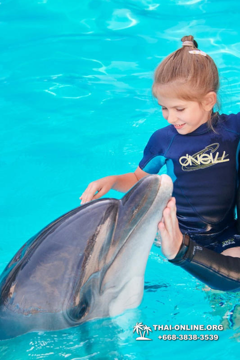 Pattaya Dolphinarium swimming with dolphins in Thailand - photo 84