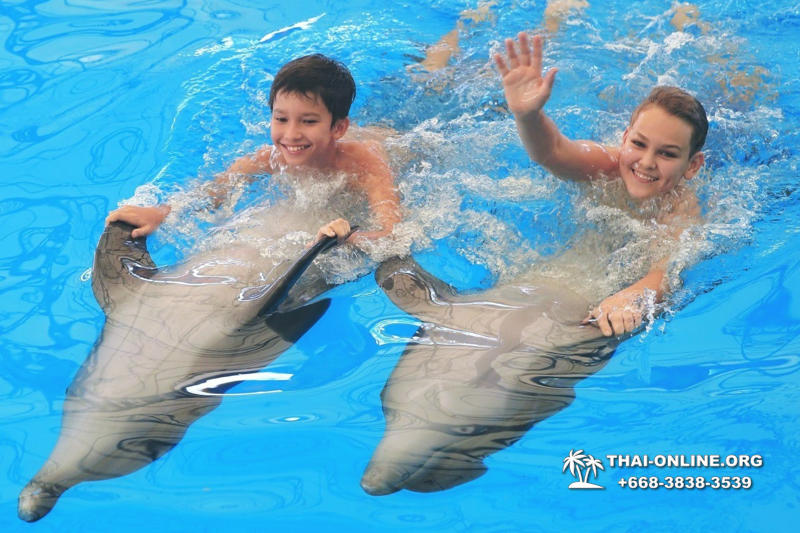 Pattaya Dolphinarium swimming with dolphins in Thailand - photo 47