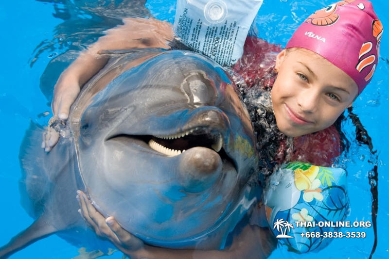 Pattaya Dolphinarium swimming with dolphins in Thailand - photo 75