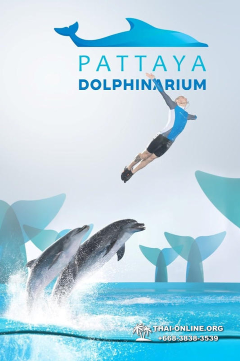 Pattaya Dolphinarium swimming with dolphins in Thailand - photo 80