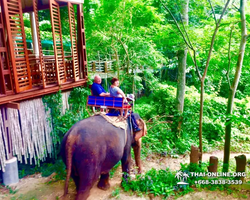 Call of Jungle, Khao Yai trip from Pattaya to Nakhon Nayok photo 71
