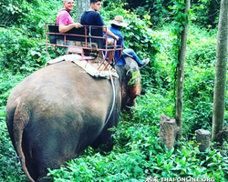 Call of Jungle, Khao Yai trip from Pattaya to Nakhon Nayok photo 10
