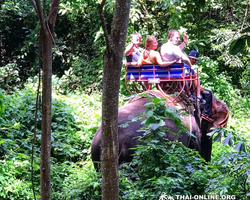 Call of Jungle, Khao Yai trip from Pattaya to Nakhon Nayok photo 18