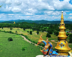 Call of Jungle, Khao Yai trip from Pattaya to Nakhon Nayok photo 65