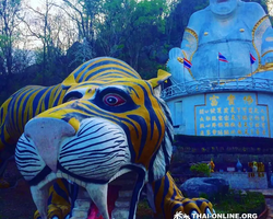 Call of Jungle, Khao Yai trip from Pattaya to Nakhon Nayok photo 111
