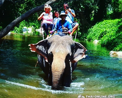 Call of Jungle, Khao Yai trip from Pattaya to Nakhon Nayok photo 63
