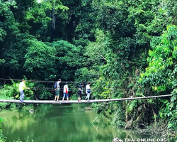 Call of Jungle, Khao Yai trip from Pattaya to Nakhon Nayok photo 20