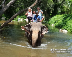 Call of Jungle, Khao Yai trip from Pattaya to Nakhon Nayok photo 136