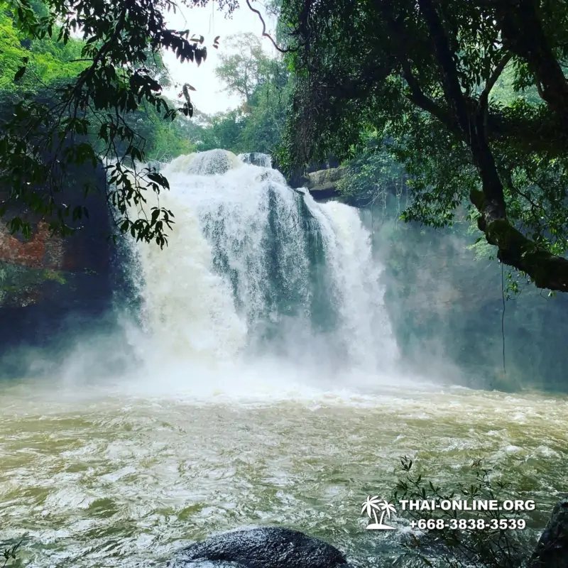 Guided tour from Pattaya to Khao Yai national park, Narok and Suwat falls, mineral springs, elephant rides, Bonanza open zoo - photo 31