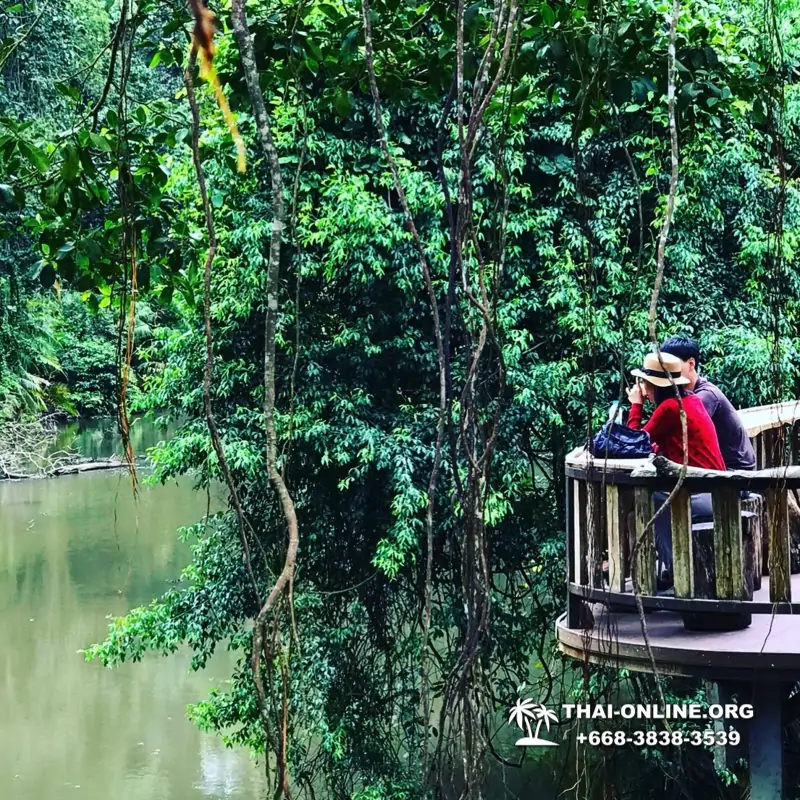 Call of Jungle, Khao Yai trip from Pattaya to Nakhon Nayok photo 12