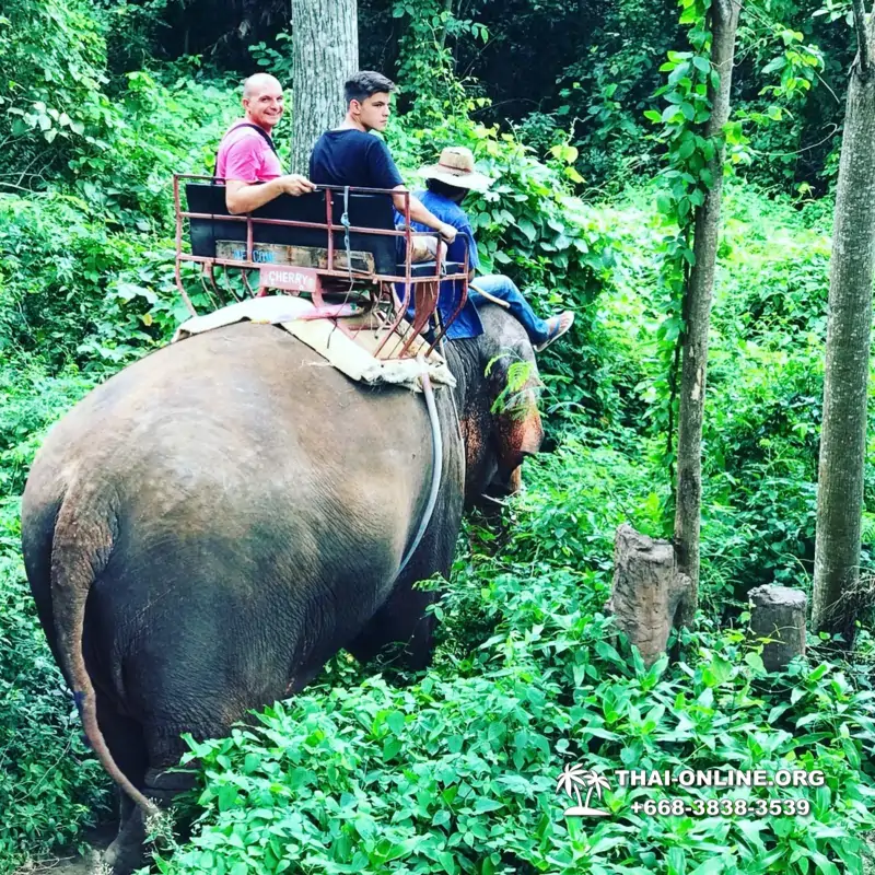 Guided tour from Pattaya to Khao Yai national park, Narok and Suwat falls, mineral springs, elephant rides, Bonanza open zoo - photo 2