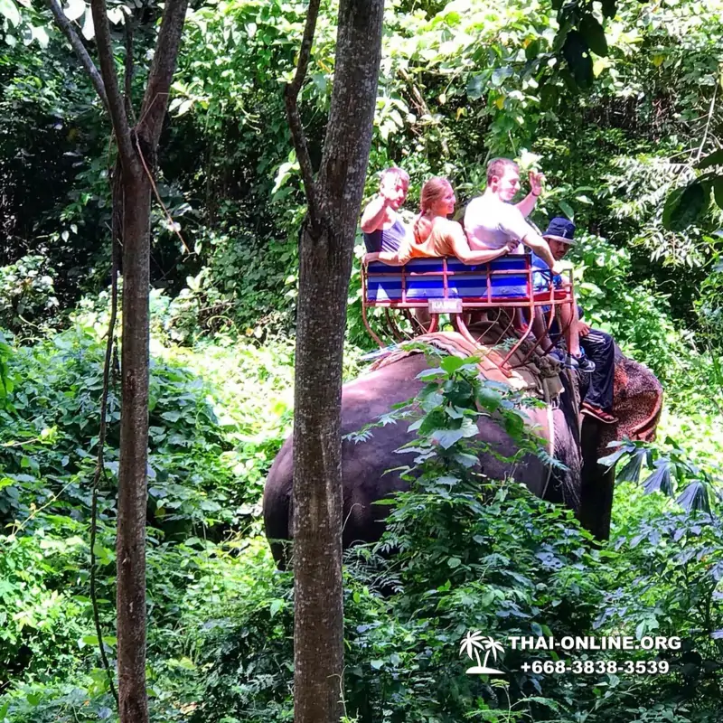 Guided tour from Pattaya to Khao Yai national park, Narok and Suwat falls, mineral springs, elephant rides, Bonanza open zoo - photo 4