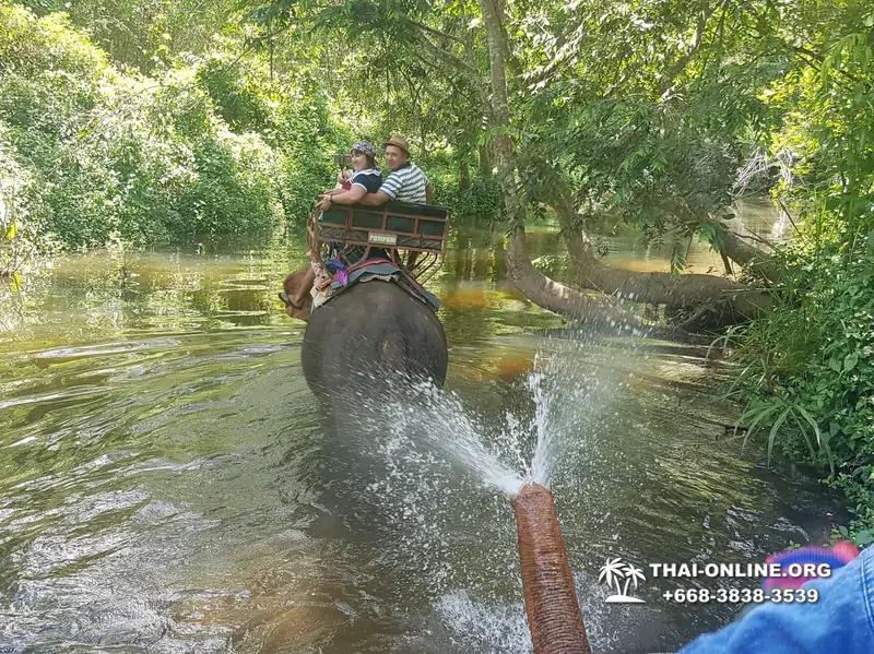 Call of Jungle, Khao Yai trip from Pattaya to Nakhon Nayok photo 43