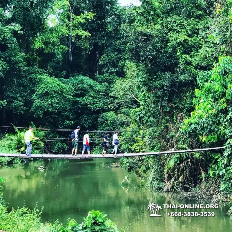 Call of Jungle, Khao Yai trip from Pattaya to Nakhon Nayok photo 20