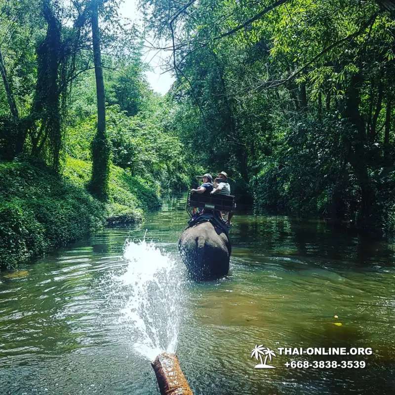 Guided tour from Pattaya to Khao Yai national park, Narok and Suwat falls, mineral springs, elephant rides, Bonanza open zoo - photo 17