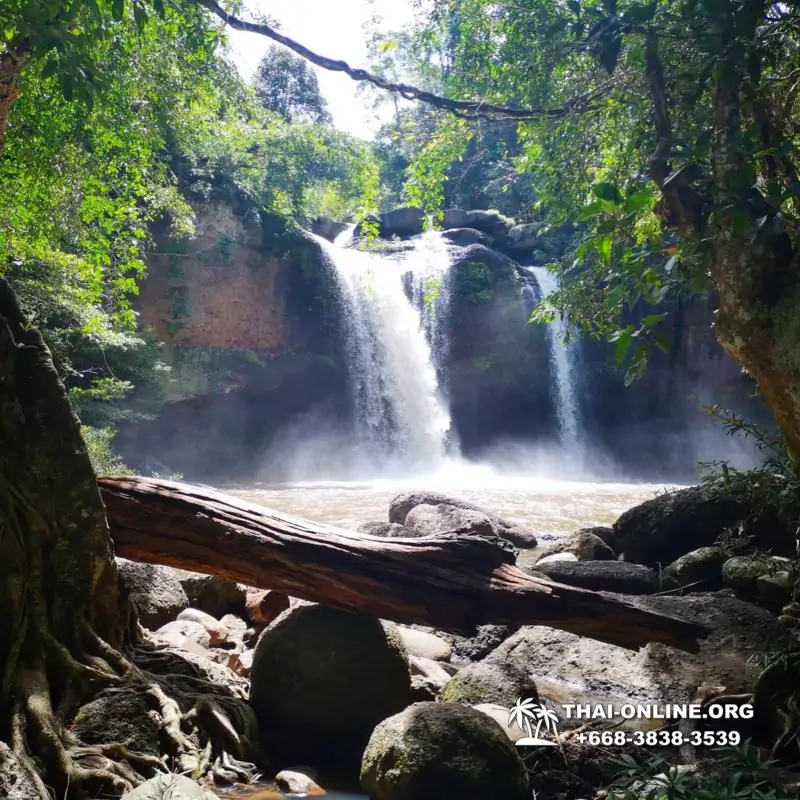 Guided tour from Pattaya to Khao Yai national park, Narok and Suwat falls, mineral springs, elephant rides, Bonanza open zoo - photo 27
