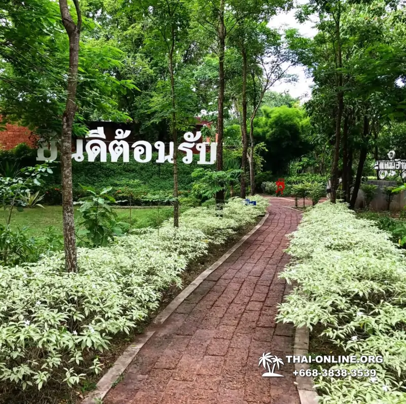 Khao Kho national park Petchabun excursion Pattaya Thailand photo 21