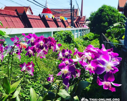 Mystical Bangkok excursion from Pattaya to Thai capital - photo 21