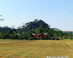 Path to the Avatar tour to Ayutthaya Lopburi from Pattaya - photo 105