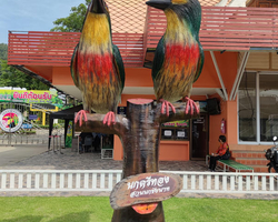 Path to the Avatar tour to Ayutthaya Lop Buri from Pattaya - photo 114