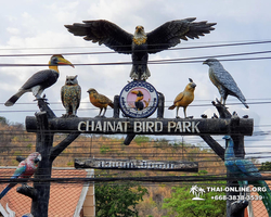Path to the Avatar tour to Ayutthaya Lopburi from Pattaya - photo 103