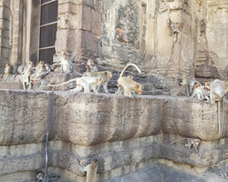 Path to the Avatar tour to Ayutthaya Lop Buri from Pattaya - photo 64