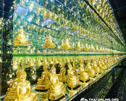 Path to the Avatar tour to Ayutthaya Lop Buri from Pattaya - photo 5
