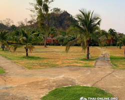 Path to the Avatar tour to Ayutthaya Lop Buri from Pattaya - photo 77