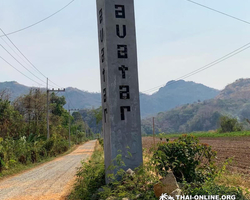 Path to the Avatar tour to Ayutthaya Lopburi from Pattaya - photo 106