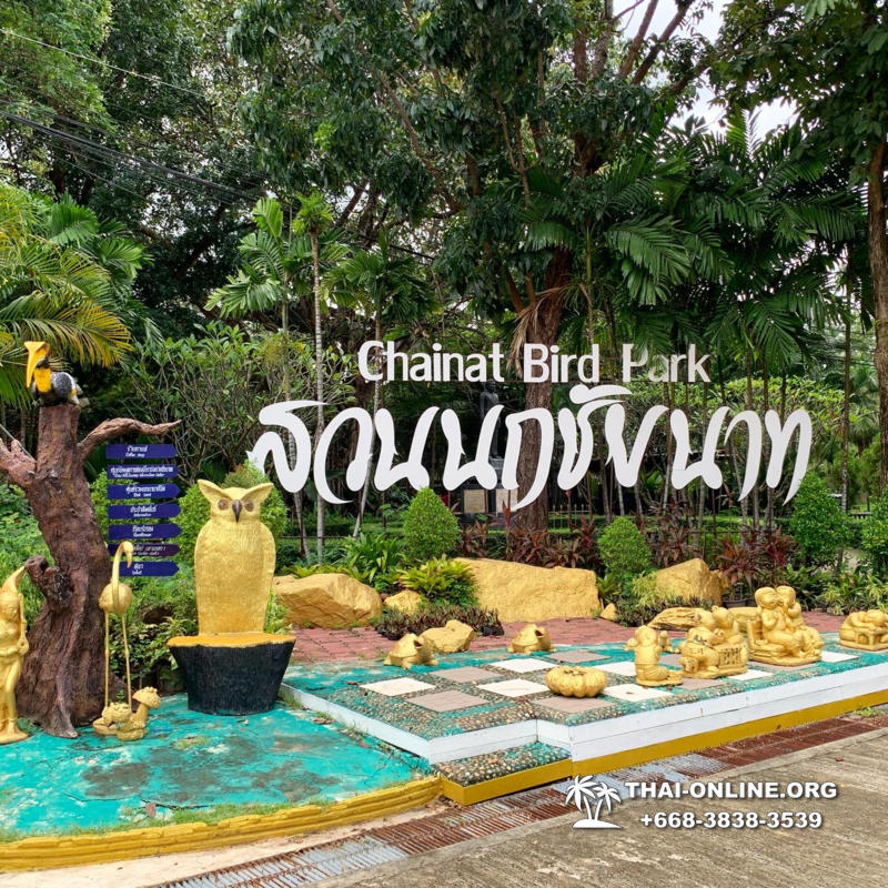 Path to the Avatar tour to Ayutthaya Lop Buri from Pattaya - photo 9